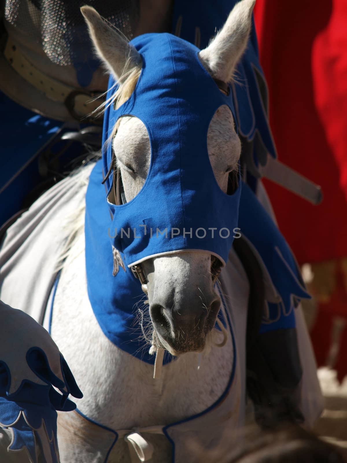 Arezzo -  annual medieval festival called the Saracen Joust 