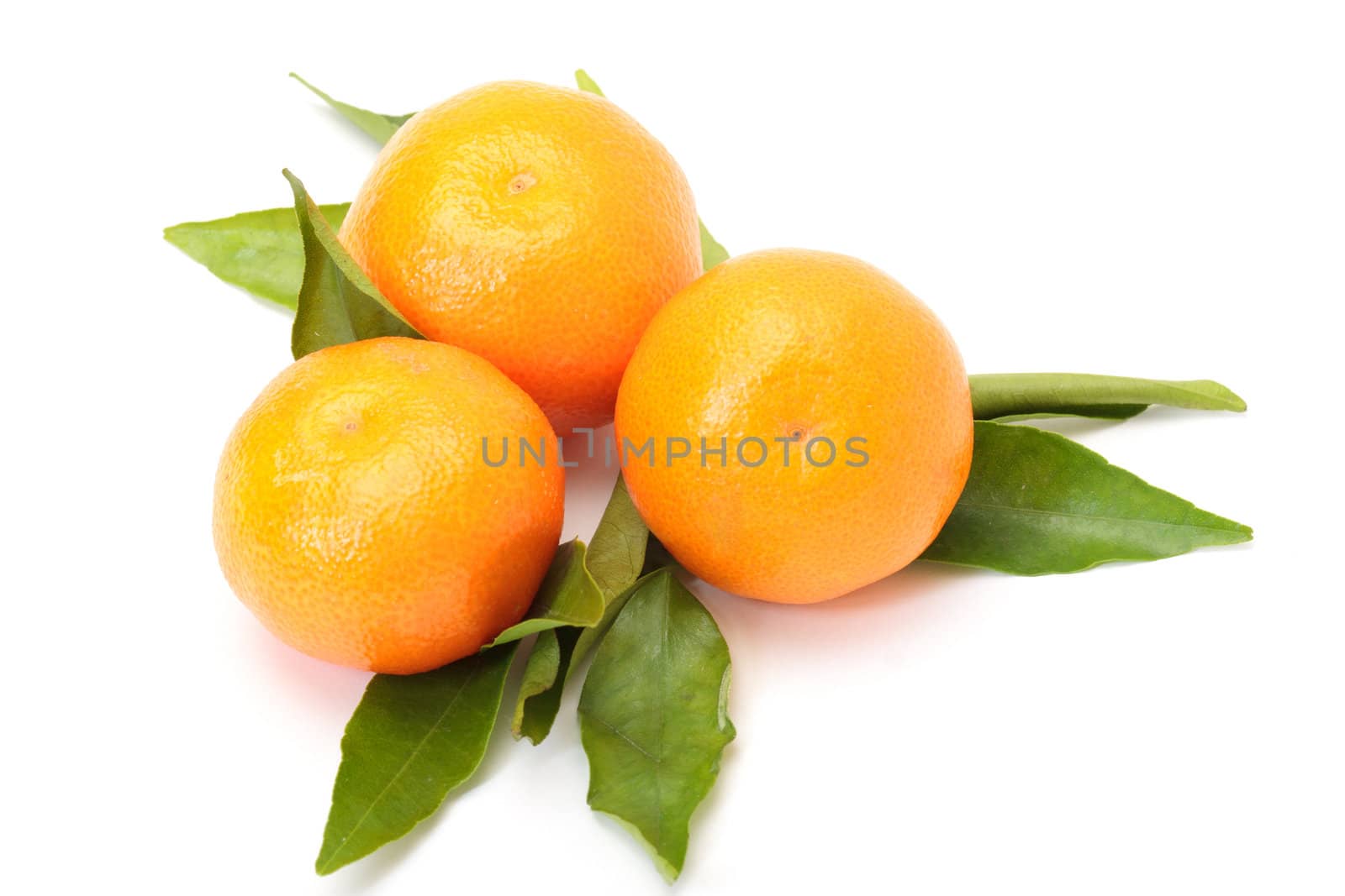 Tangerines with leaves isolated over white