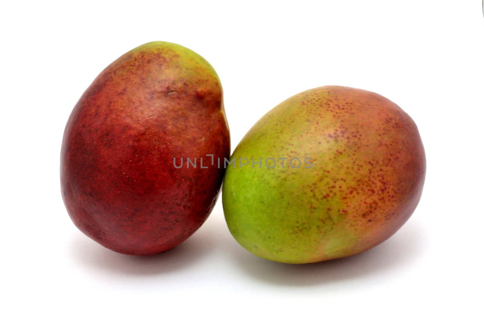 Two fresh mangos over the white background