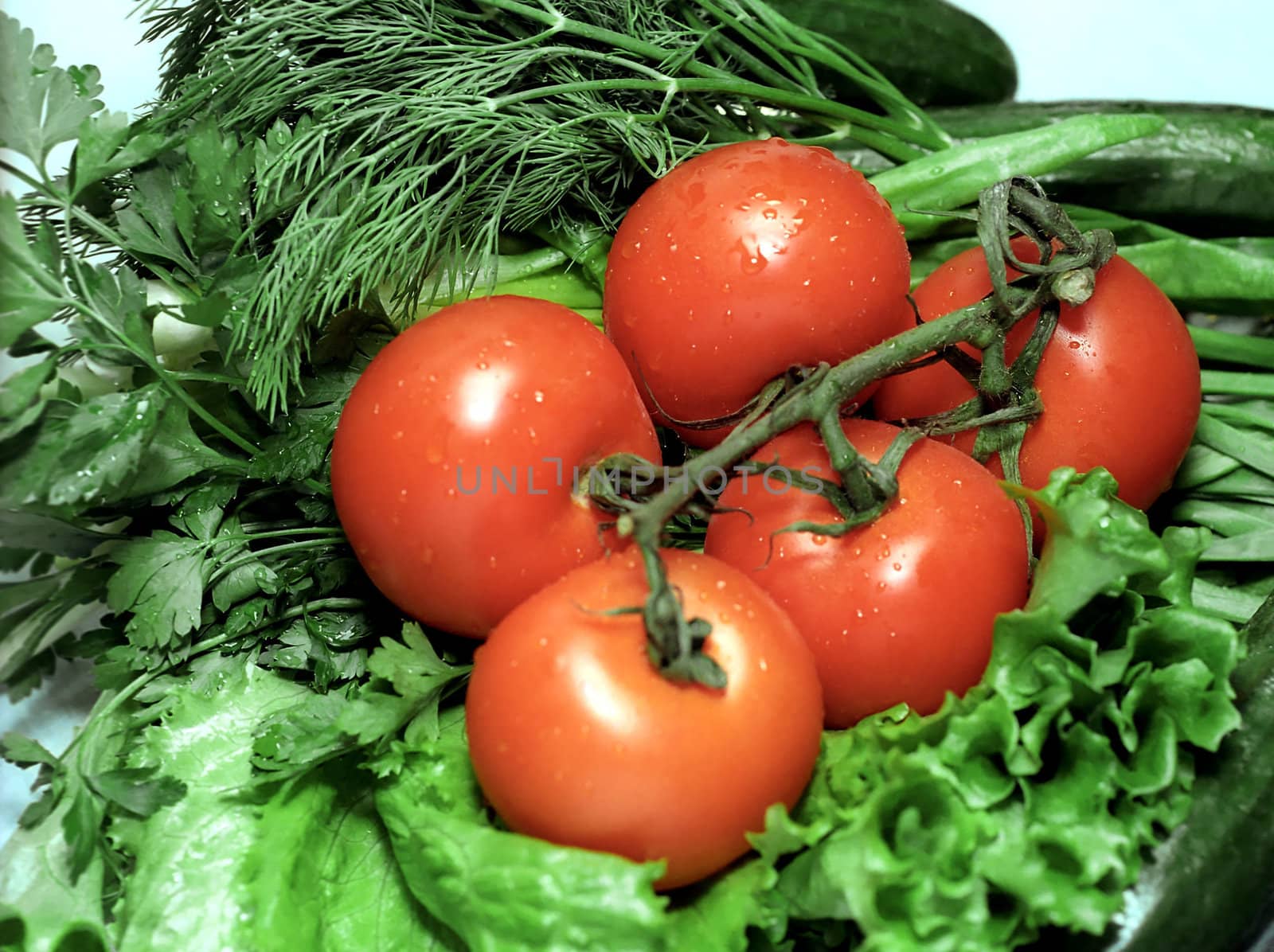 Red tomatoes on greenery background by mulden