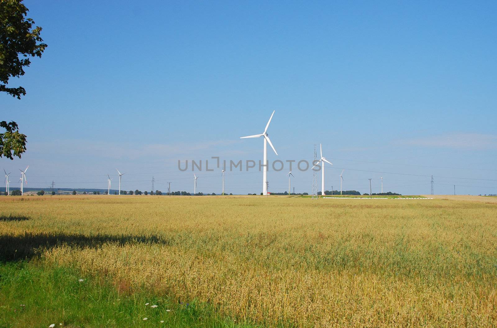 Wind turbines farm. Alternative energy source. by wojciechkozlowski
