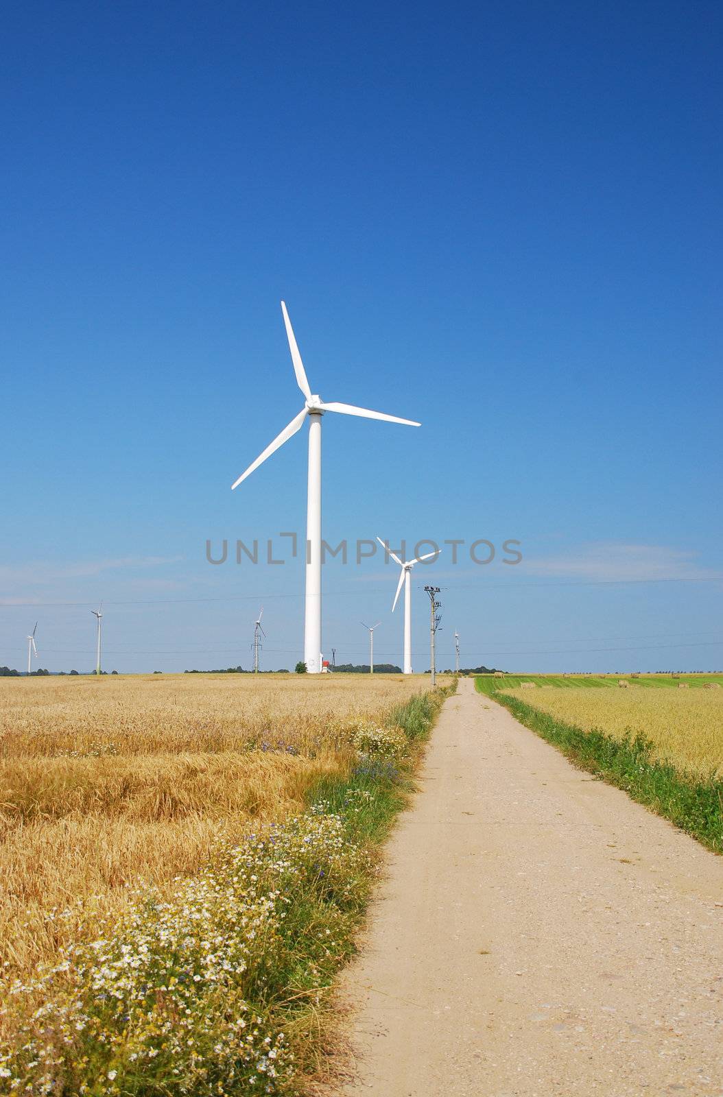 Wind turbines farm. Alternative energy source. by wojciechkozlowski