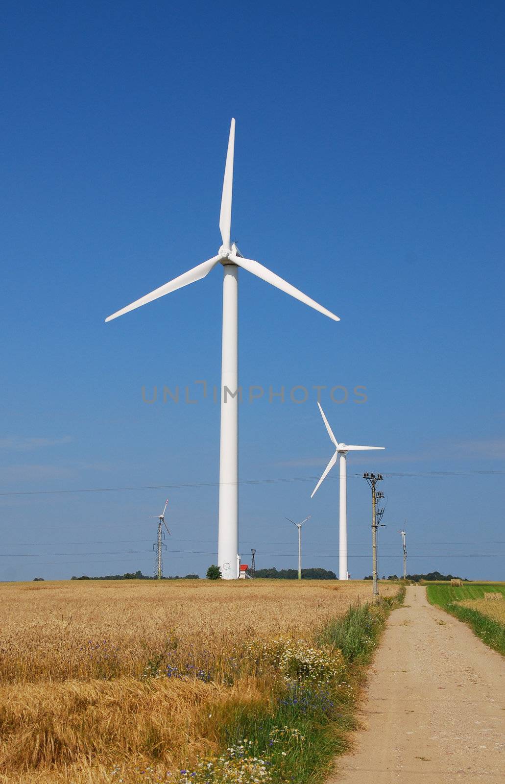 Wind turbines farm