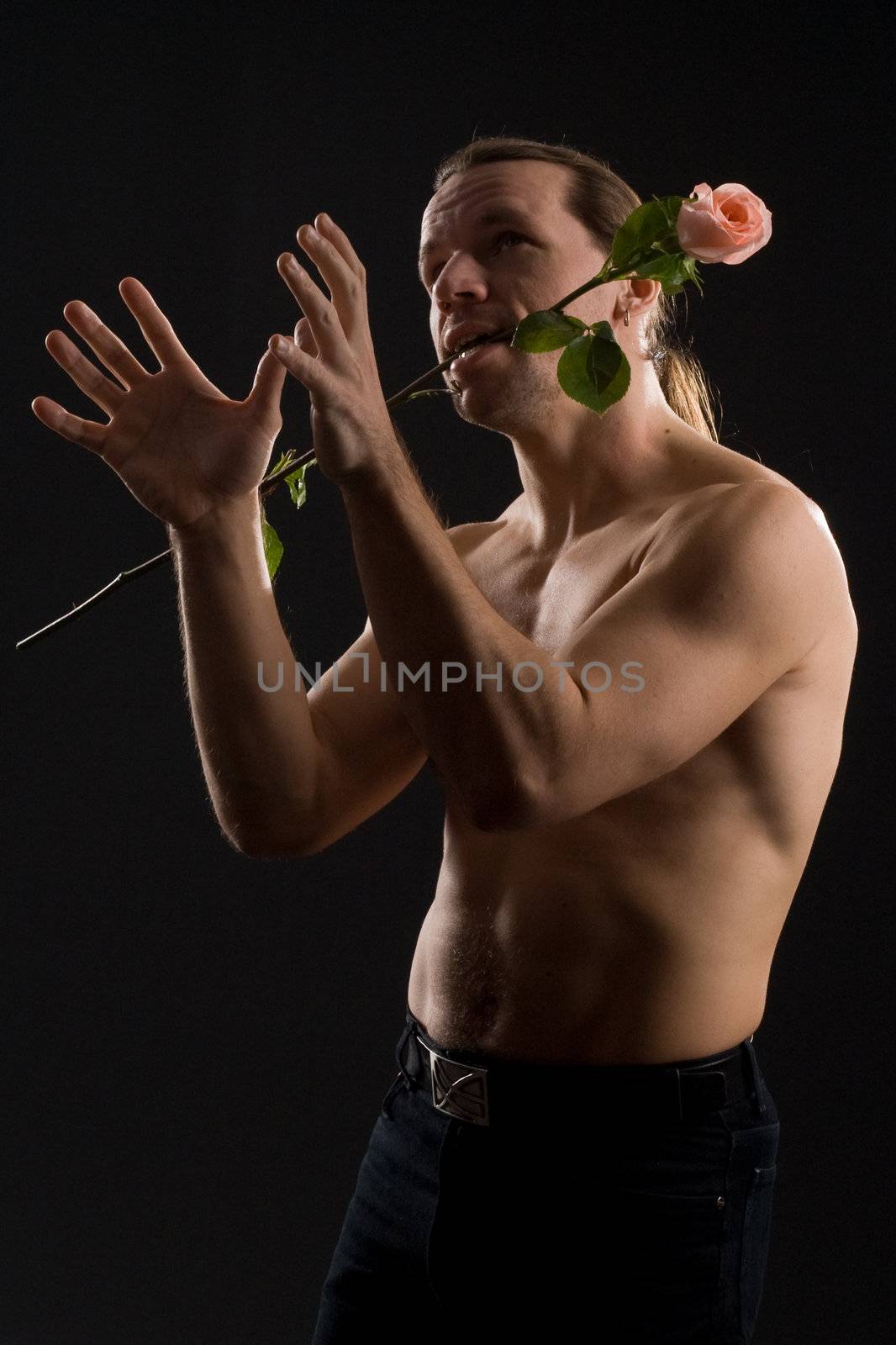 clambering romantic man with pink rose
