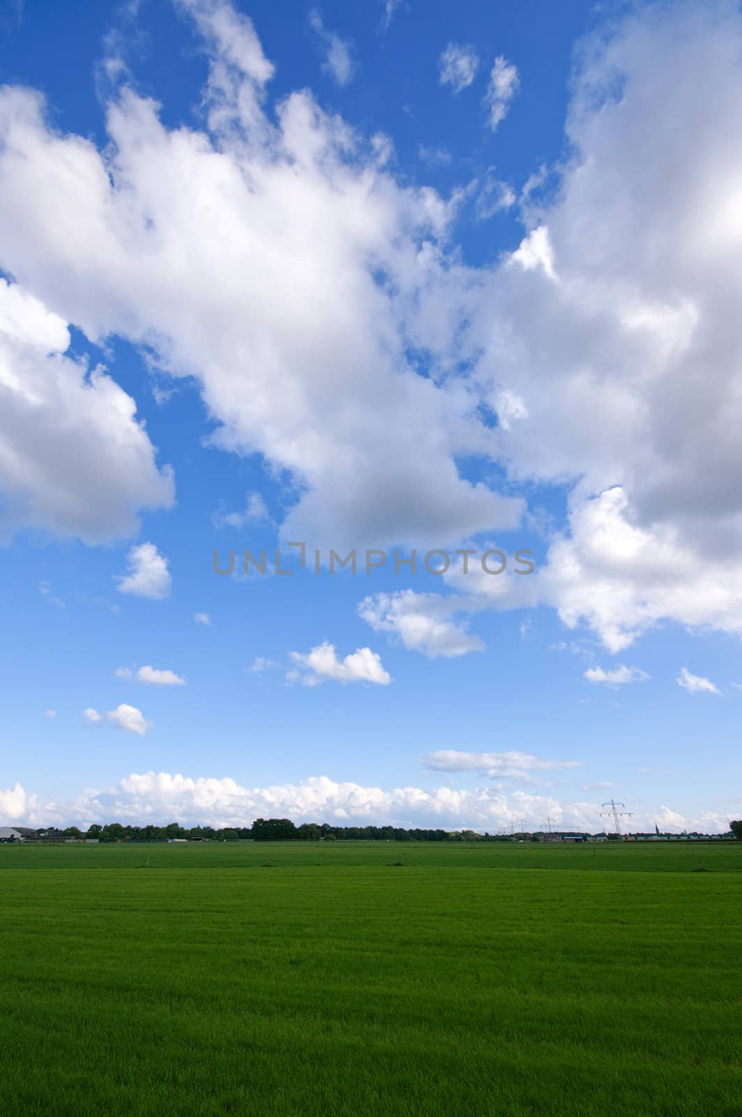 green meadow with blue sky and clouds