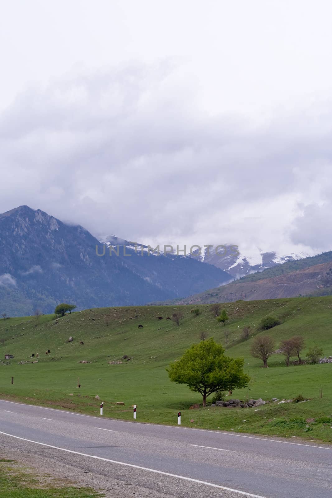 Magnificent mountain panorama with road and tree
