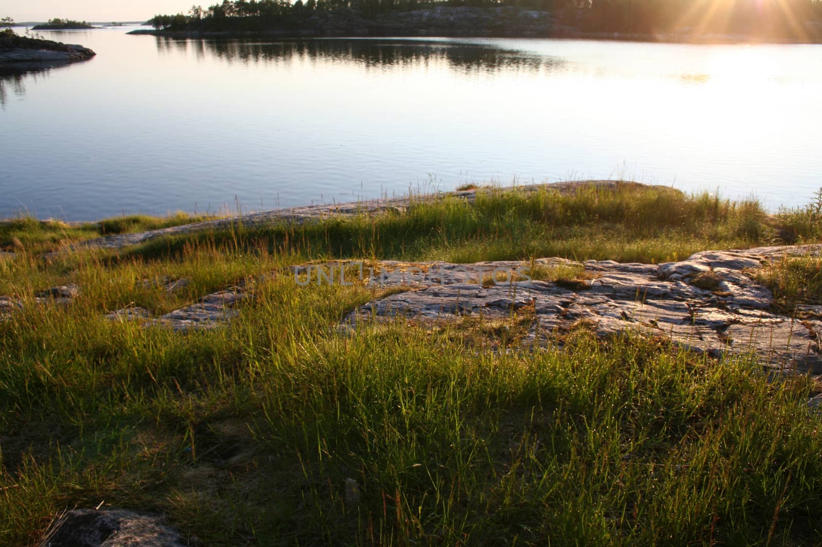 summer sunrise with grass and rocks
