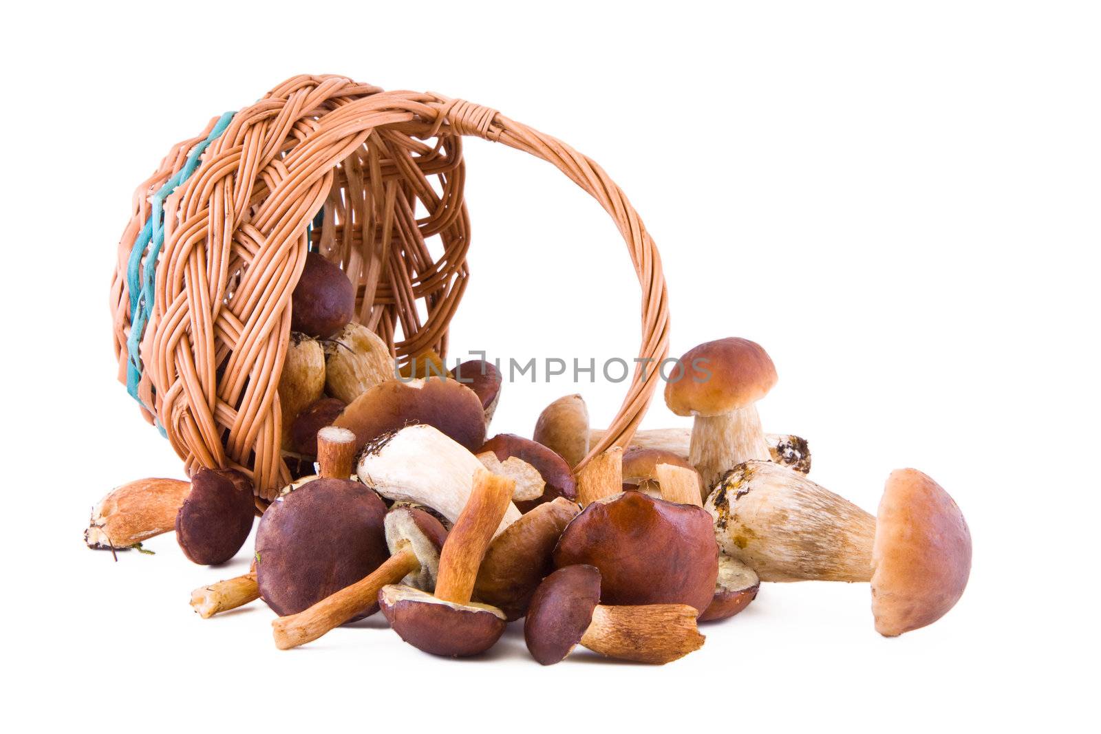 Boletus mushrooms with a wicker basket isolated