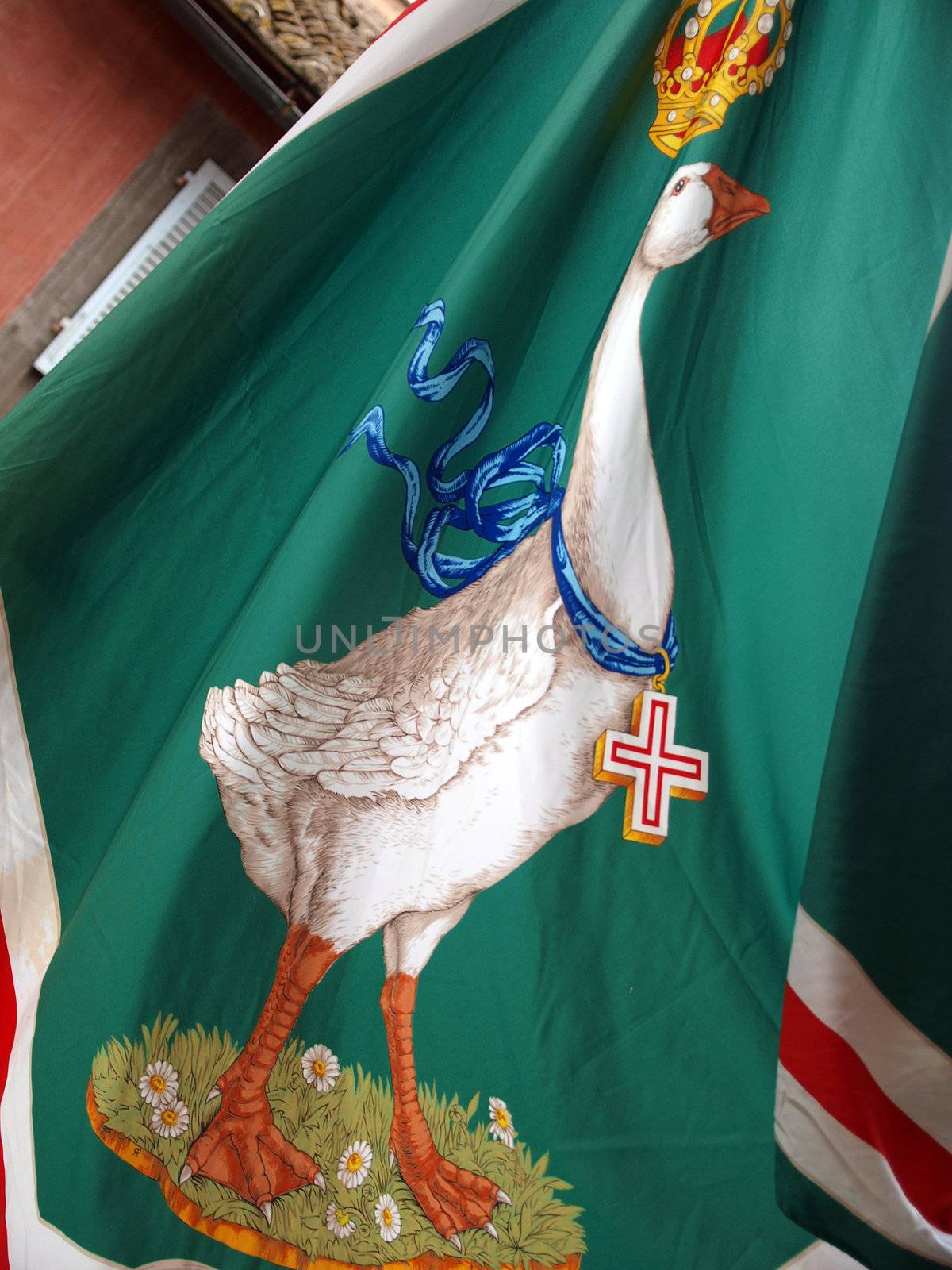 Siena - Contrada dell 'Oca flag