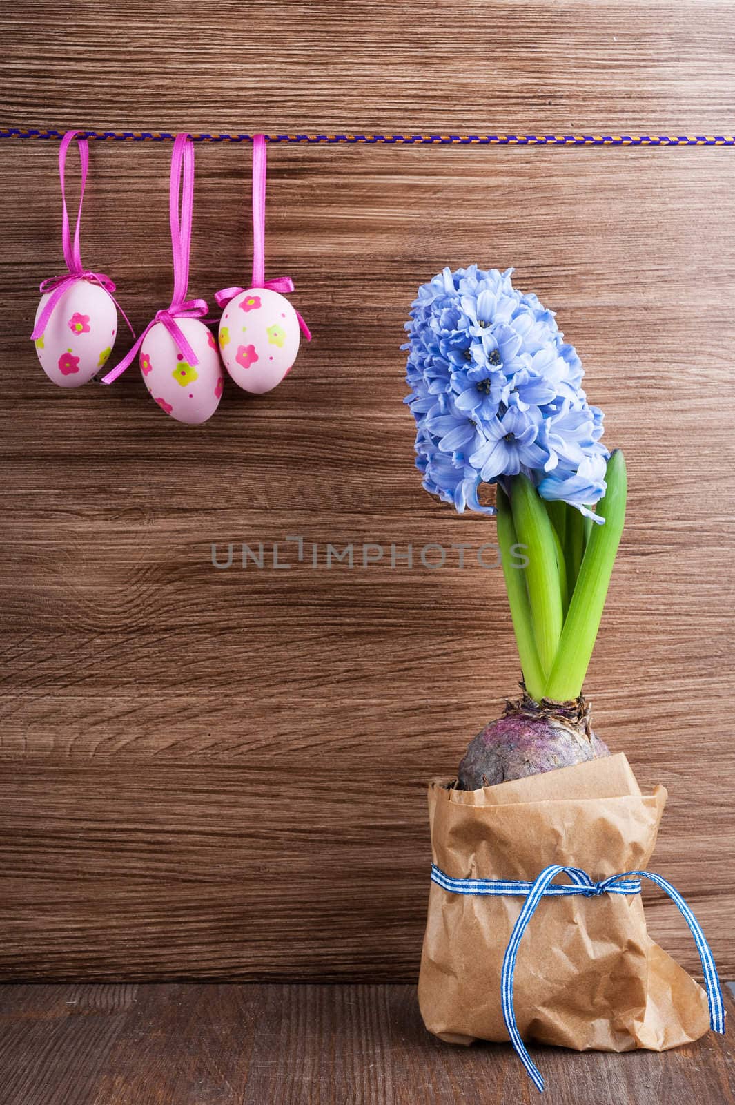 Hyacinth and eggs on a wooden surface background