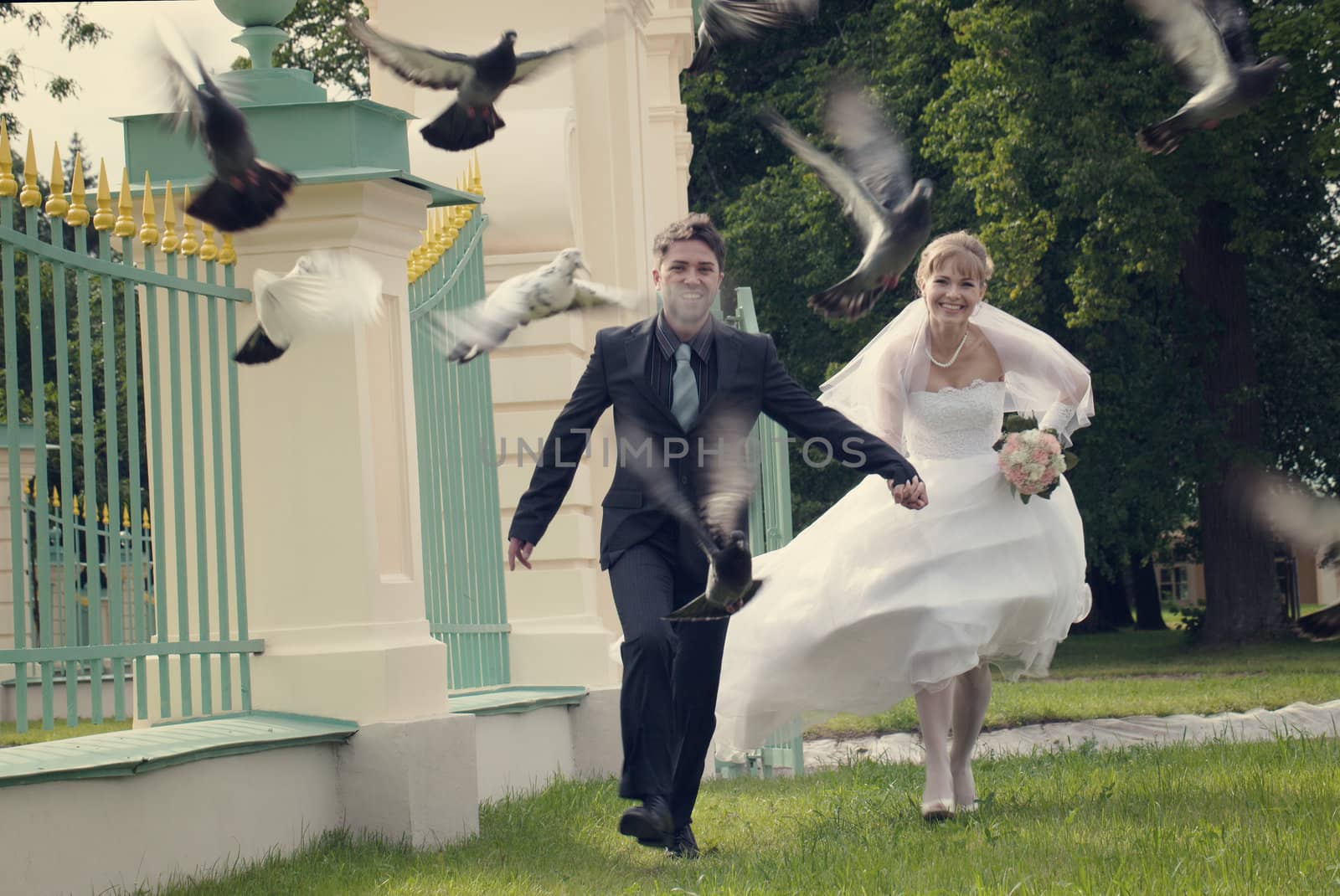 wedding in the territory of a palace of Menshikov