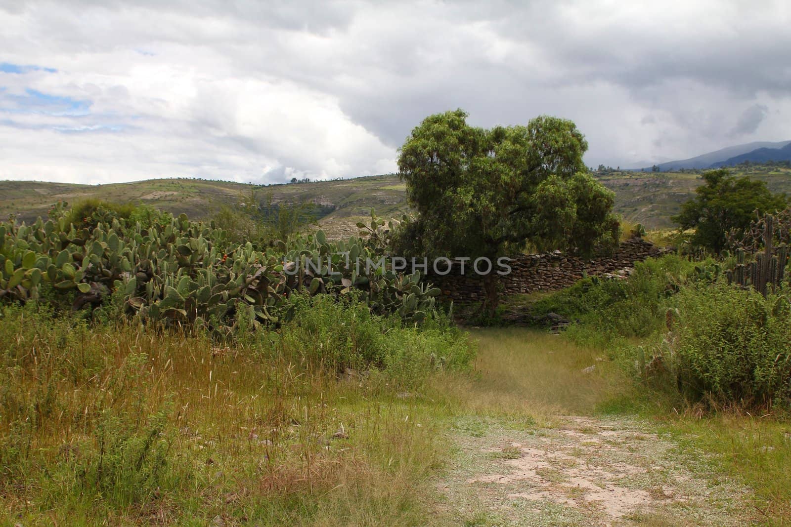 Countryside landscape and indigenous Wari wall in Peru
