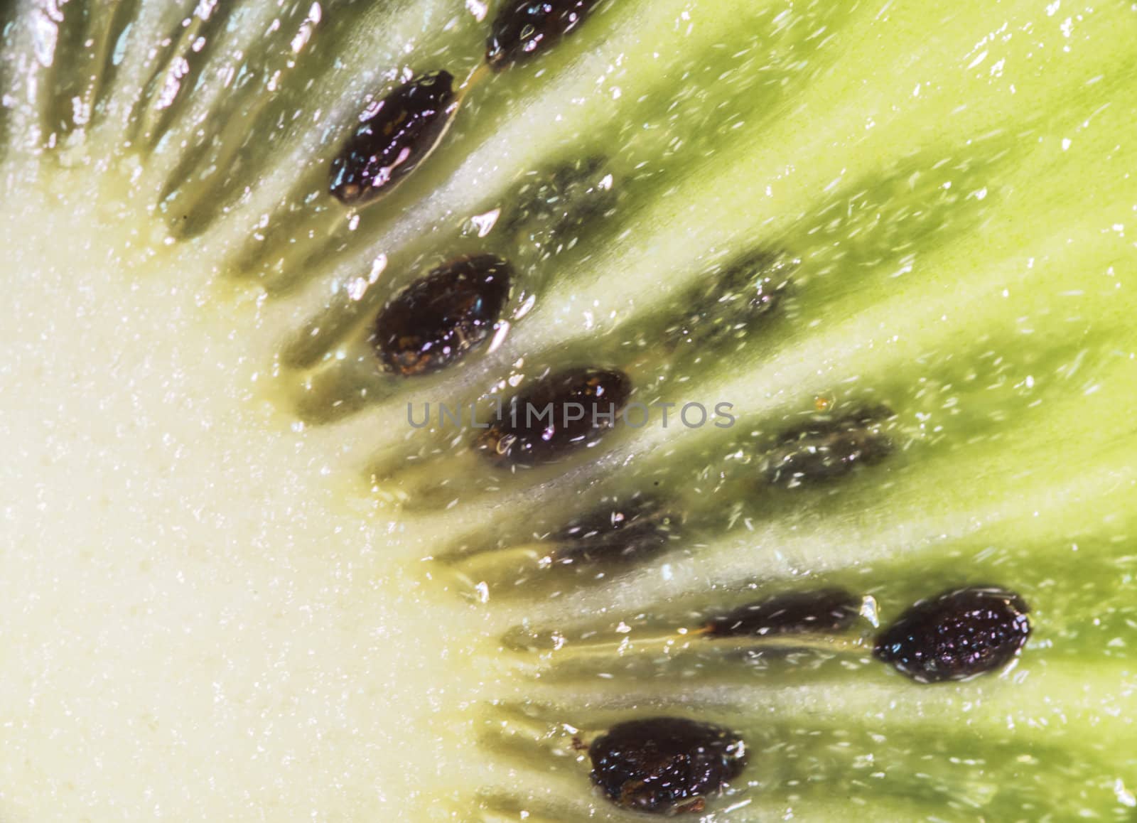 macro of seeds from the kiwi inside