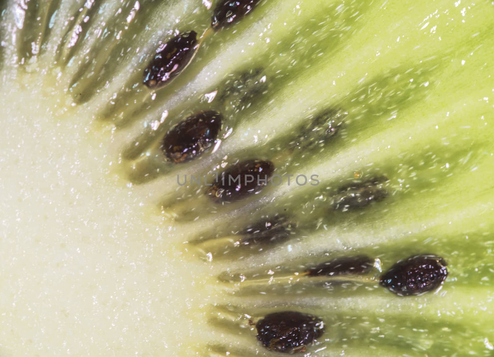 macro of seeds from the kiwi inside