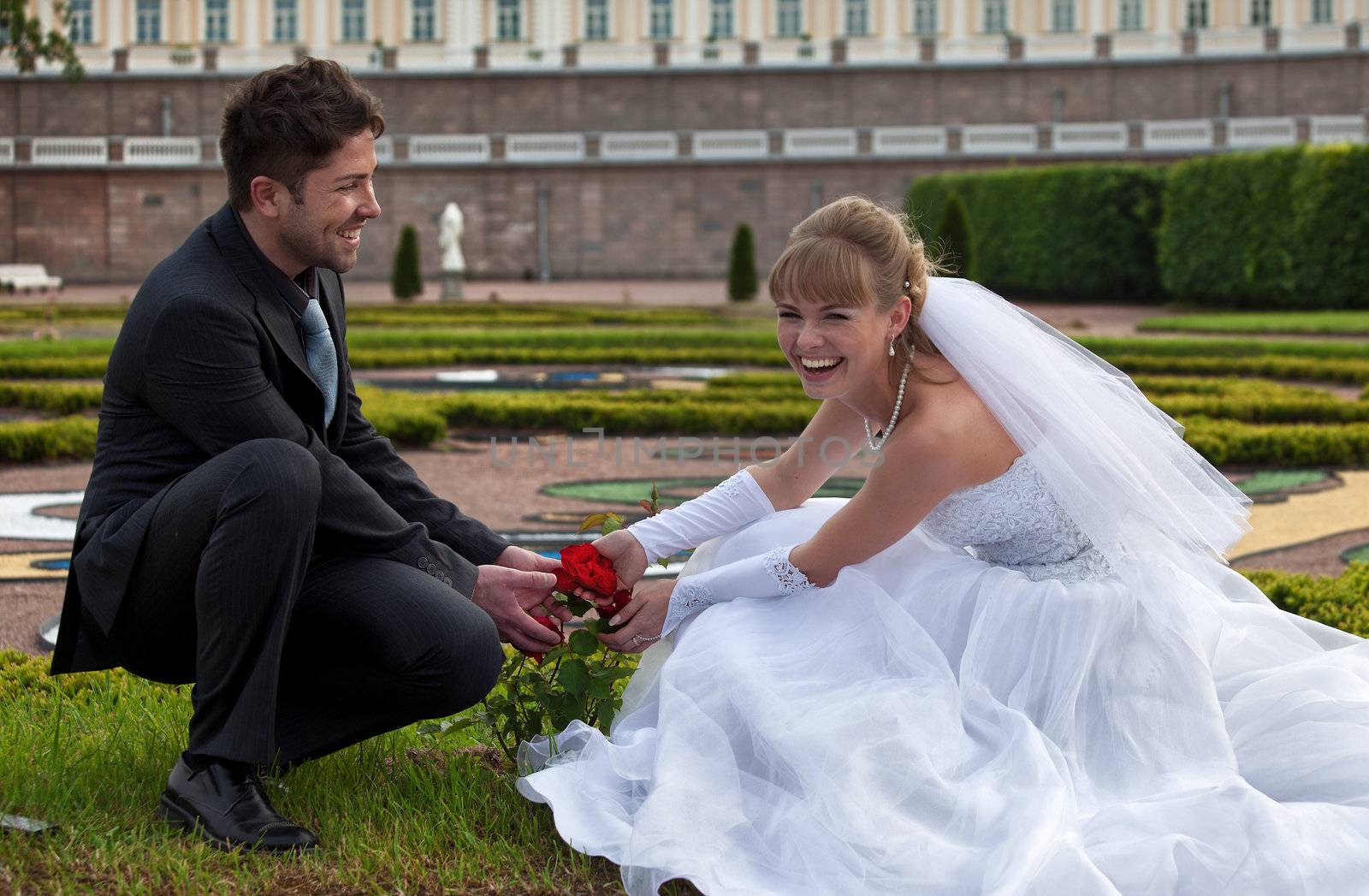 wedding in the territory of a palace of Menshikov