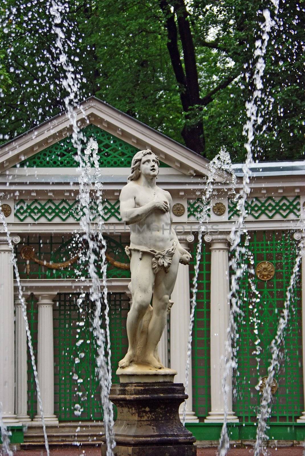 Fountain In Petrodvorets (Peterhof), St Petersburg, Russia.