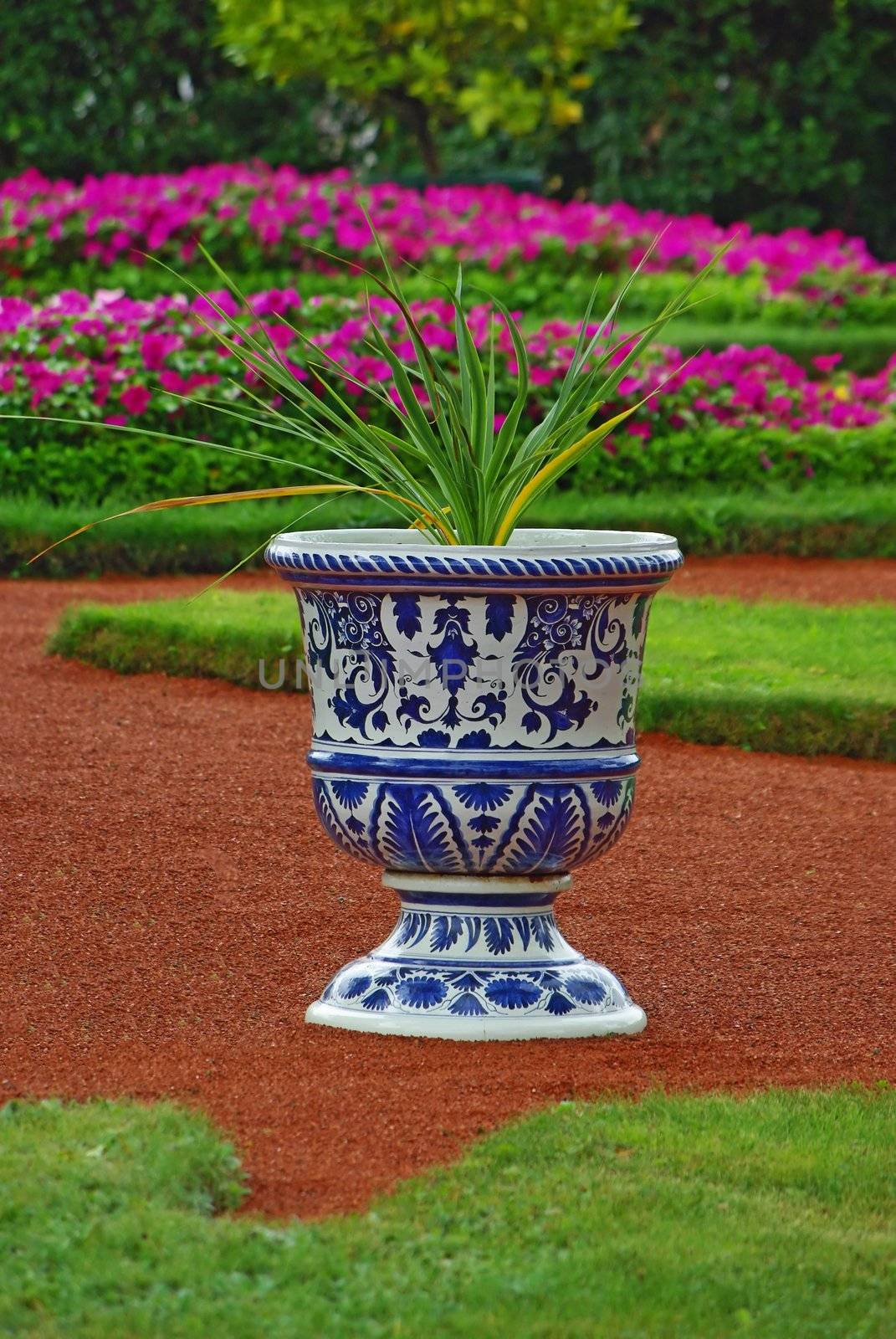 Porcelain vase with the flower as an element of landscape design