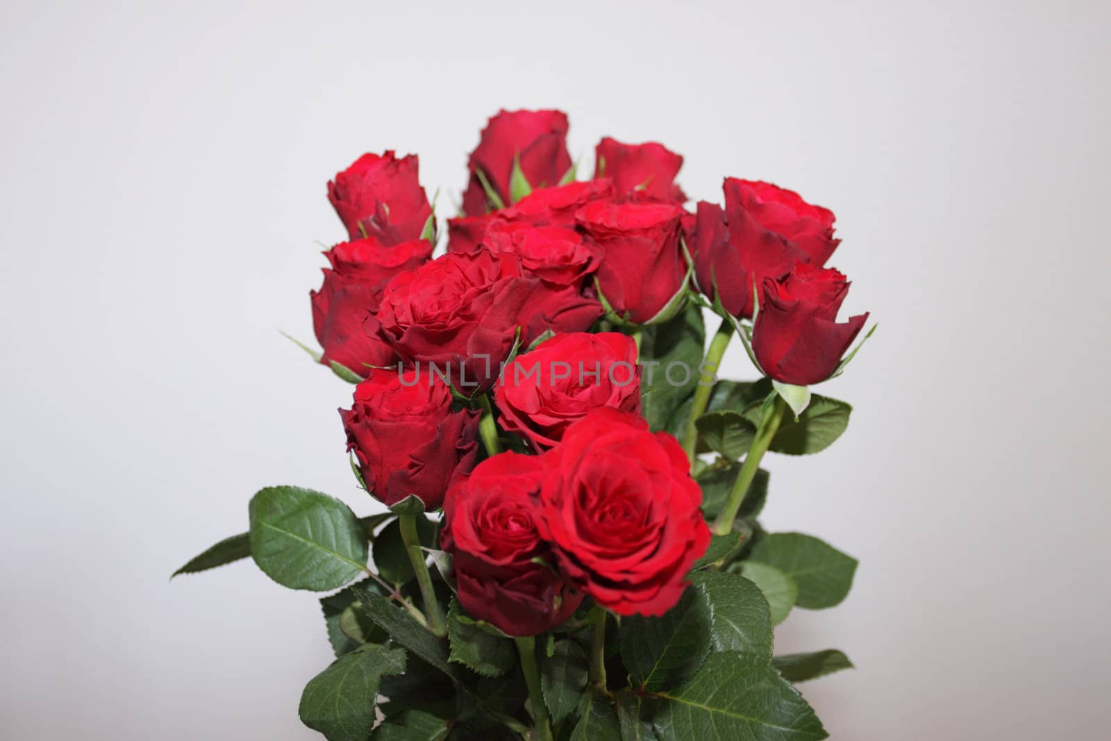 bouquet of red roses in a vase on white background