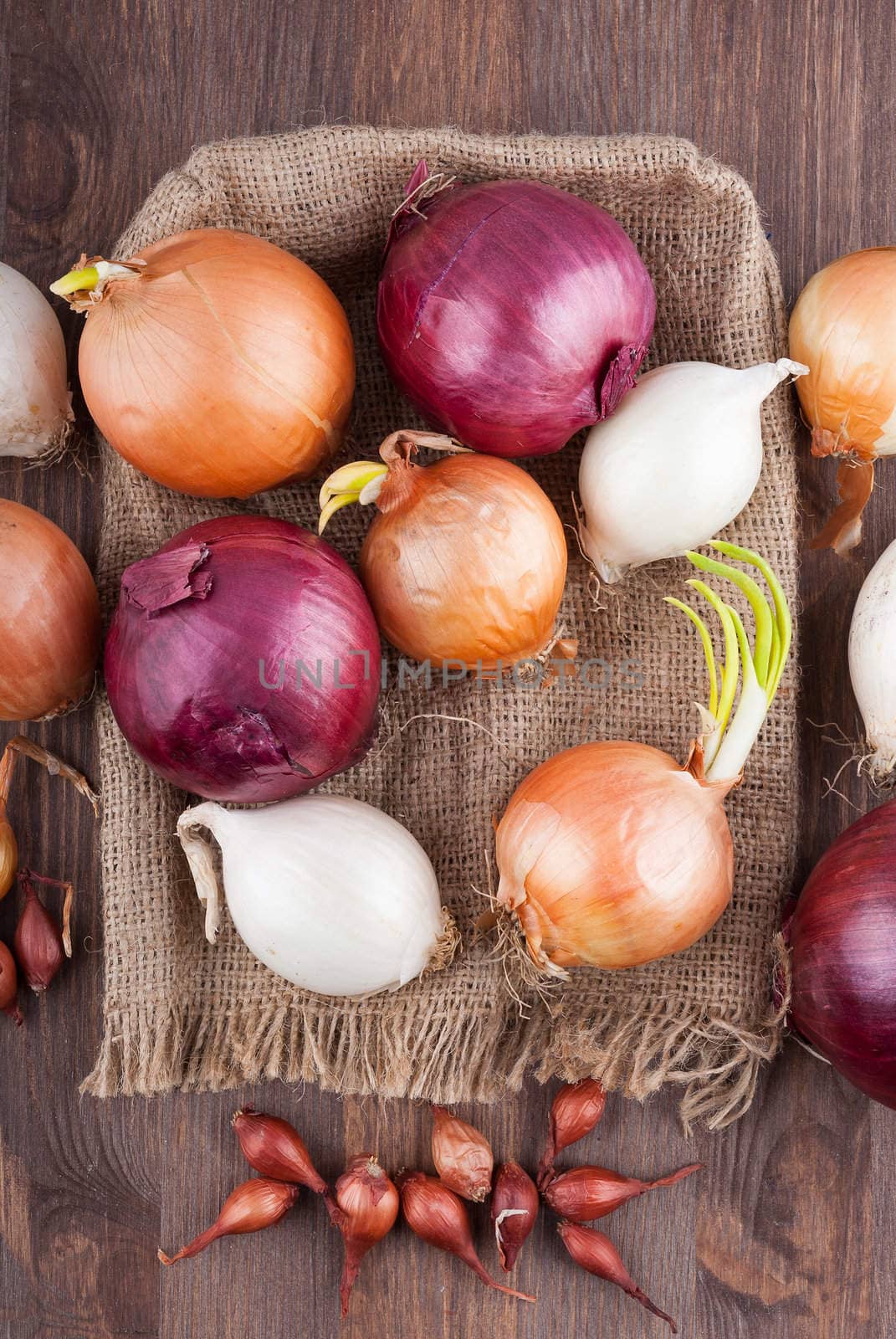 Different varieties of onions on a kitchen board and bagging
