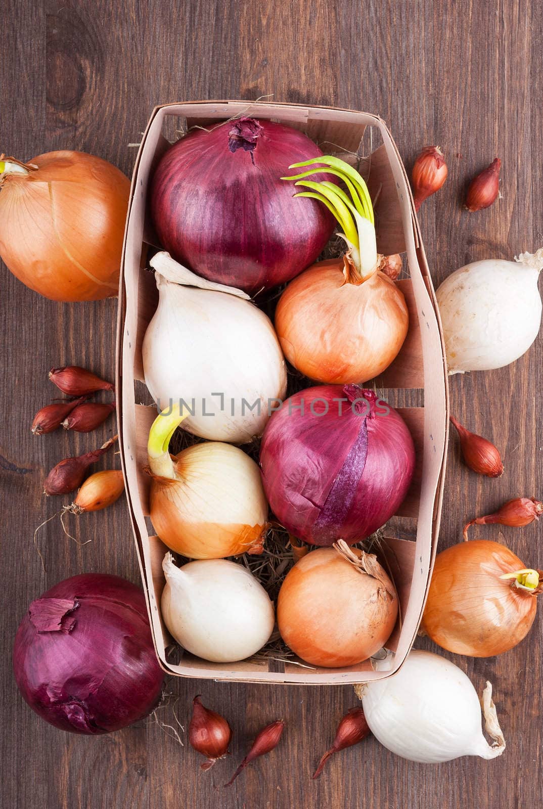 Different varieties of onions on a kitchen board and wooden surface