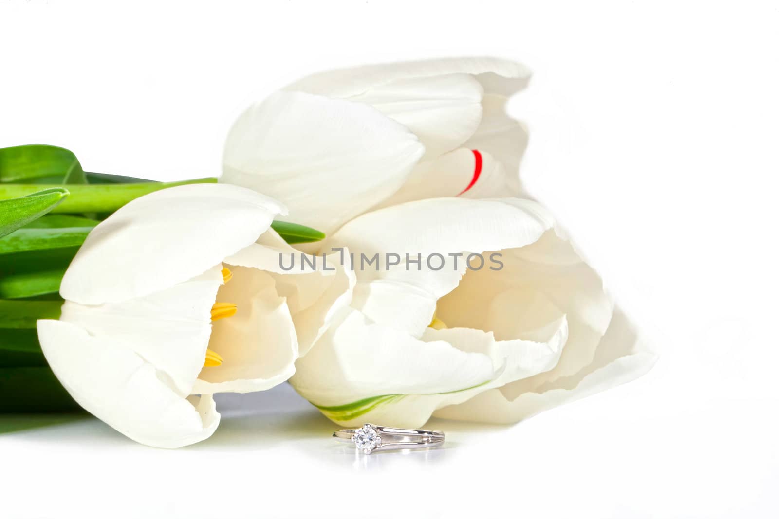Beautiful white spring tulips with diamond ring