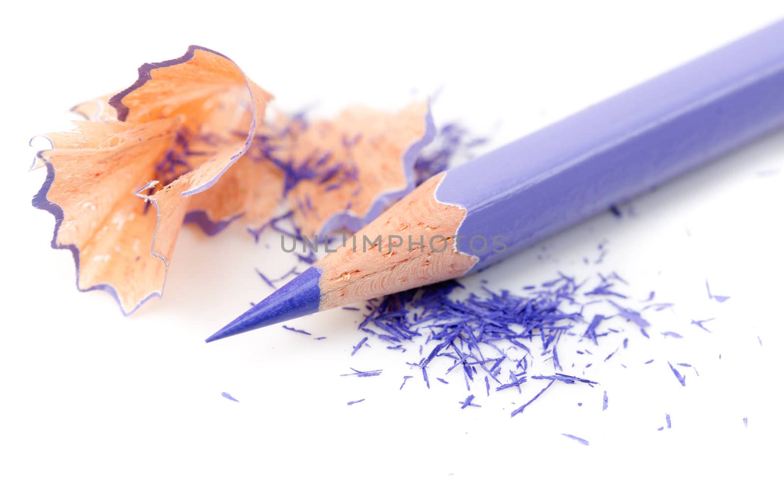 Color pencil with sharpening shavings on white background