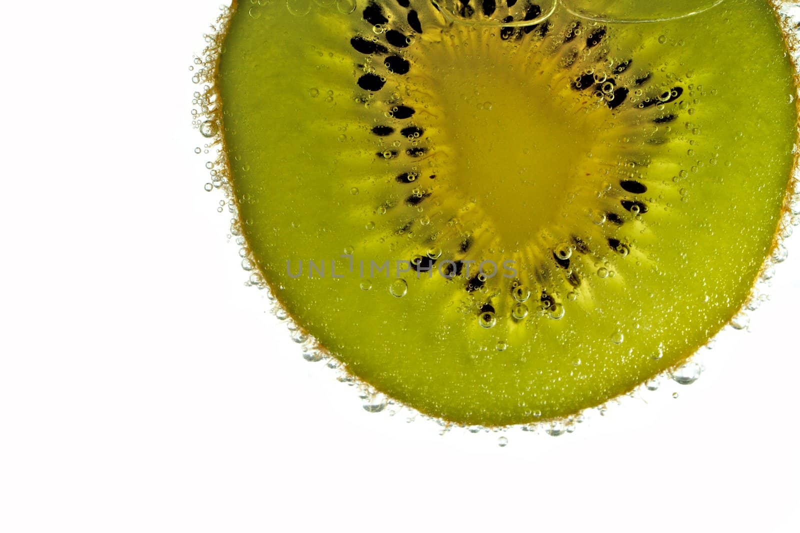 A fresh kiwi slice floats in carbonated water, backlit on white