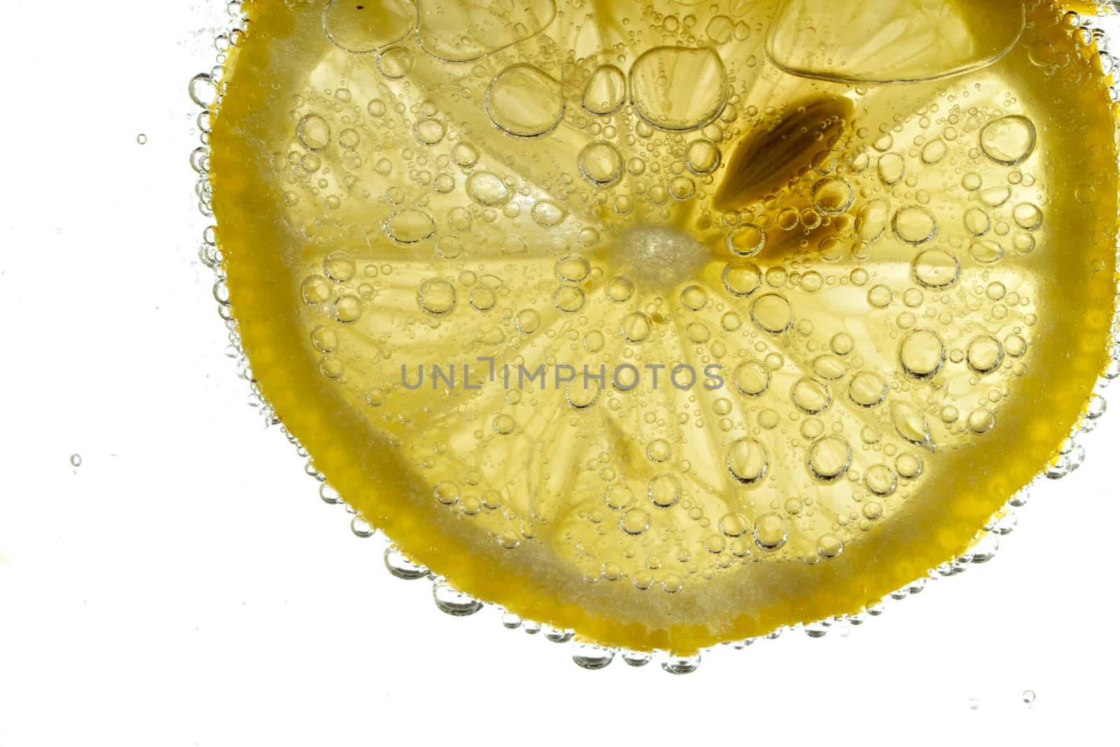 A fresh lemon slice floats in carbonated water, backlit on white