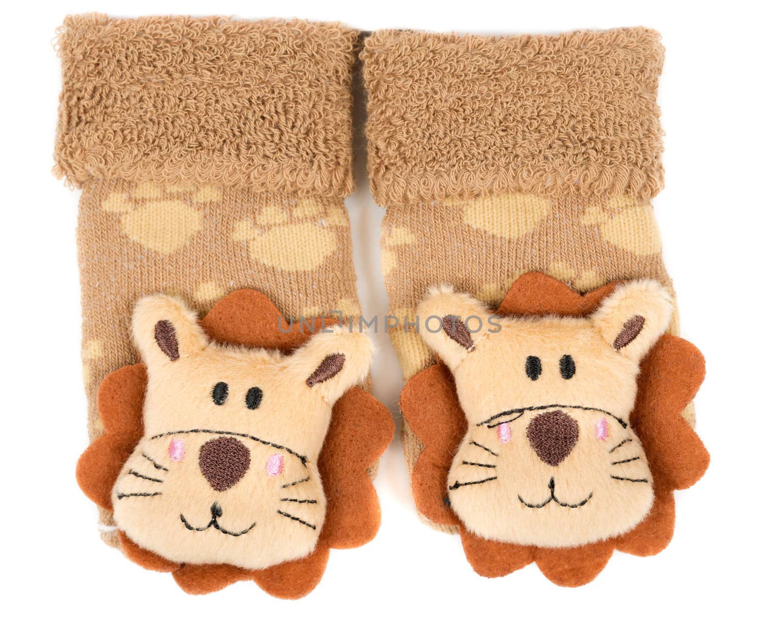 pair of children's sneakers with a muzzle of a lion. Isolate on white.