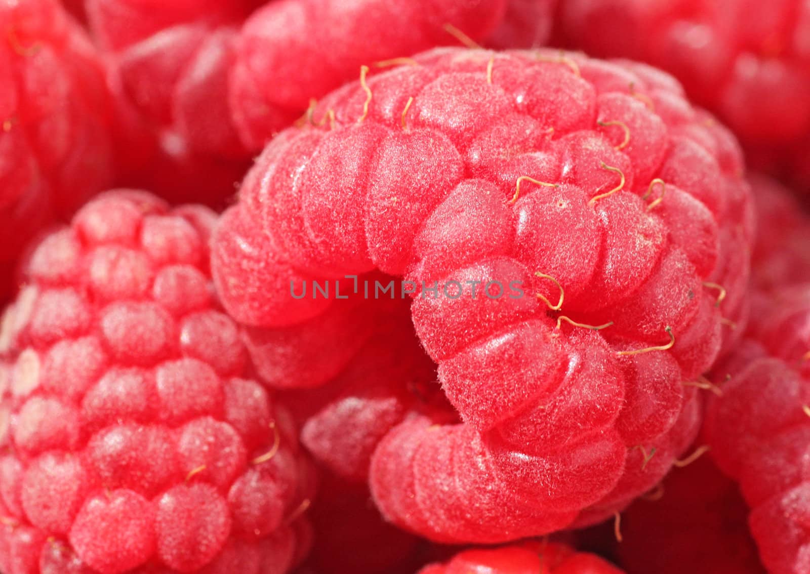 raspberry by romantiche