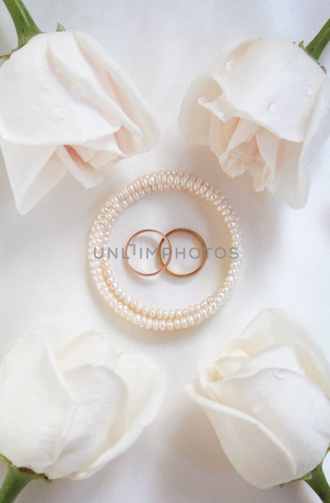 Wedding rings and white roses can use as wedding background 