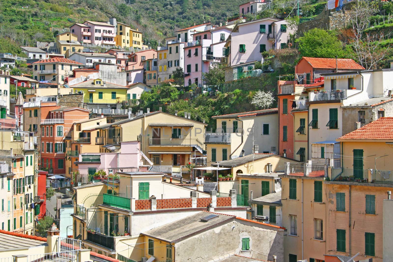 Italy. Cinque Terre. Riomaggiore