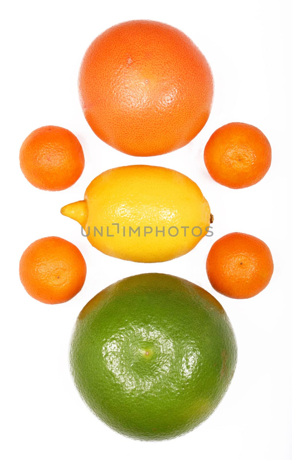Citrus fruits isolated on white background 