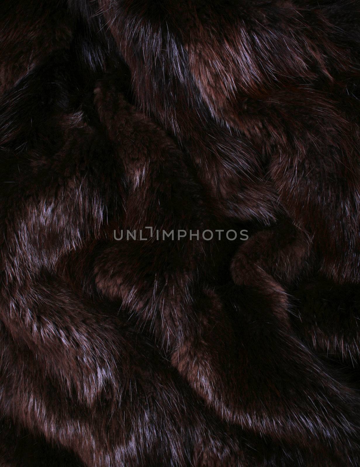 The  brown fur of a beaver 