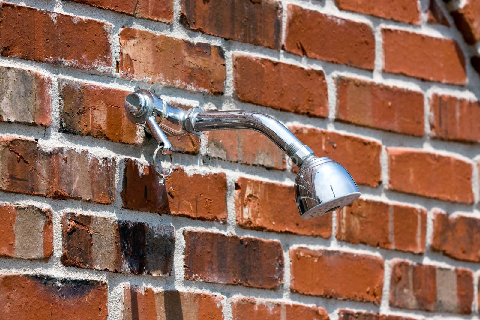 Outdoor shower head installed on a brick wall.