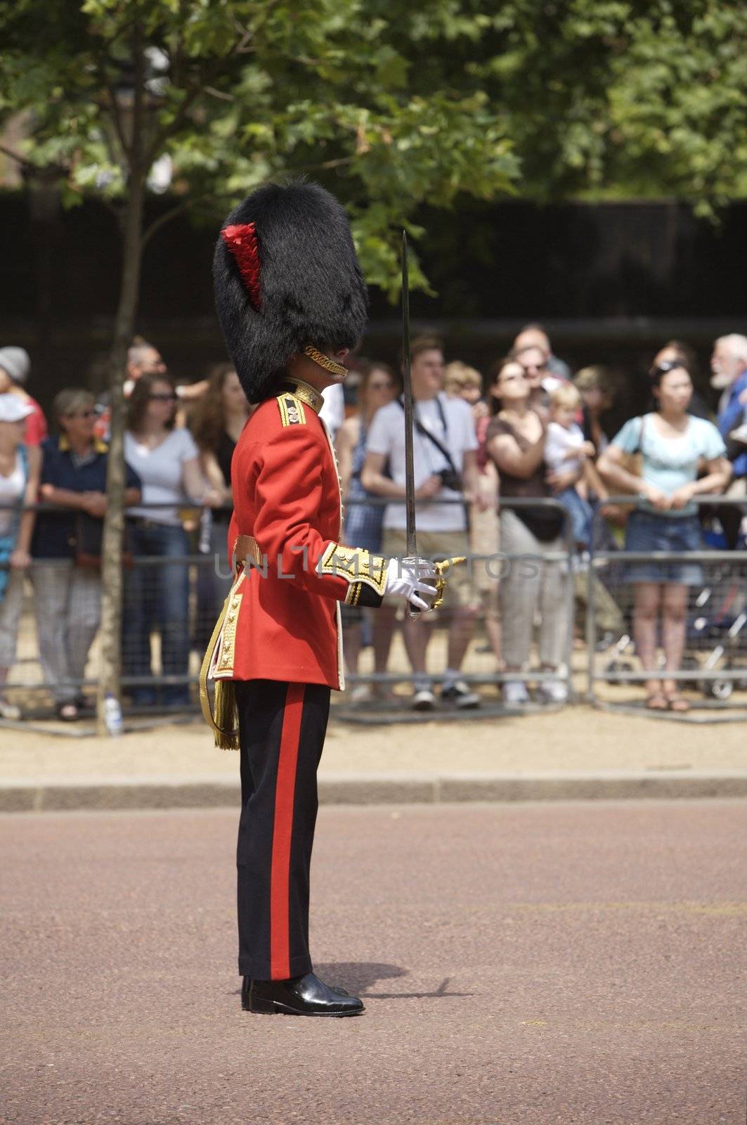 The Trooping of the Colors icon the Queen's Birthday one of London's most popular annual pageants