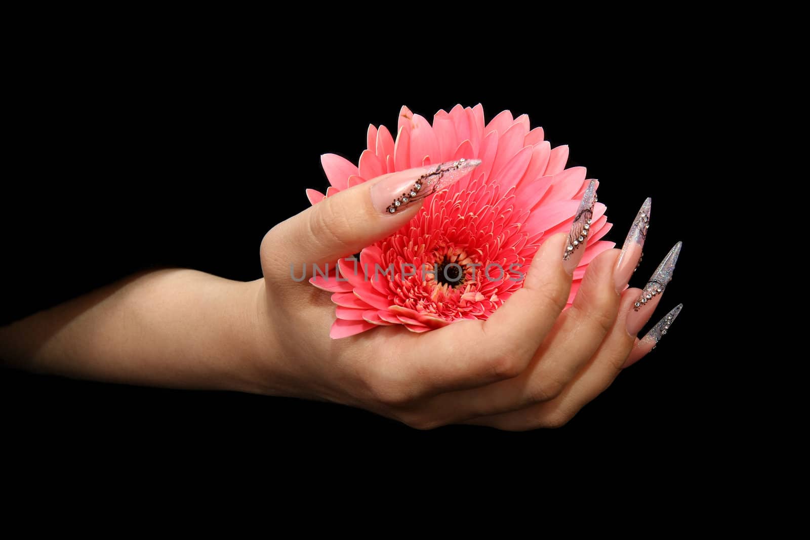 Human fingers with long fingernail and beautiful manicure isolated on black