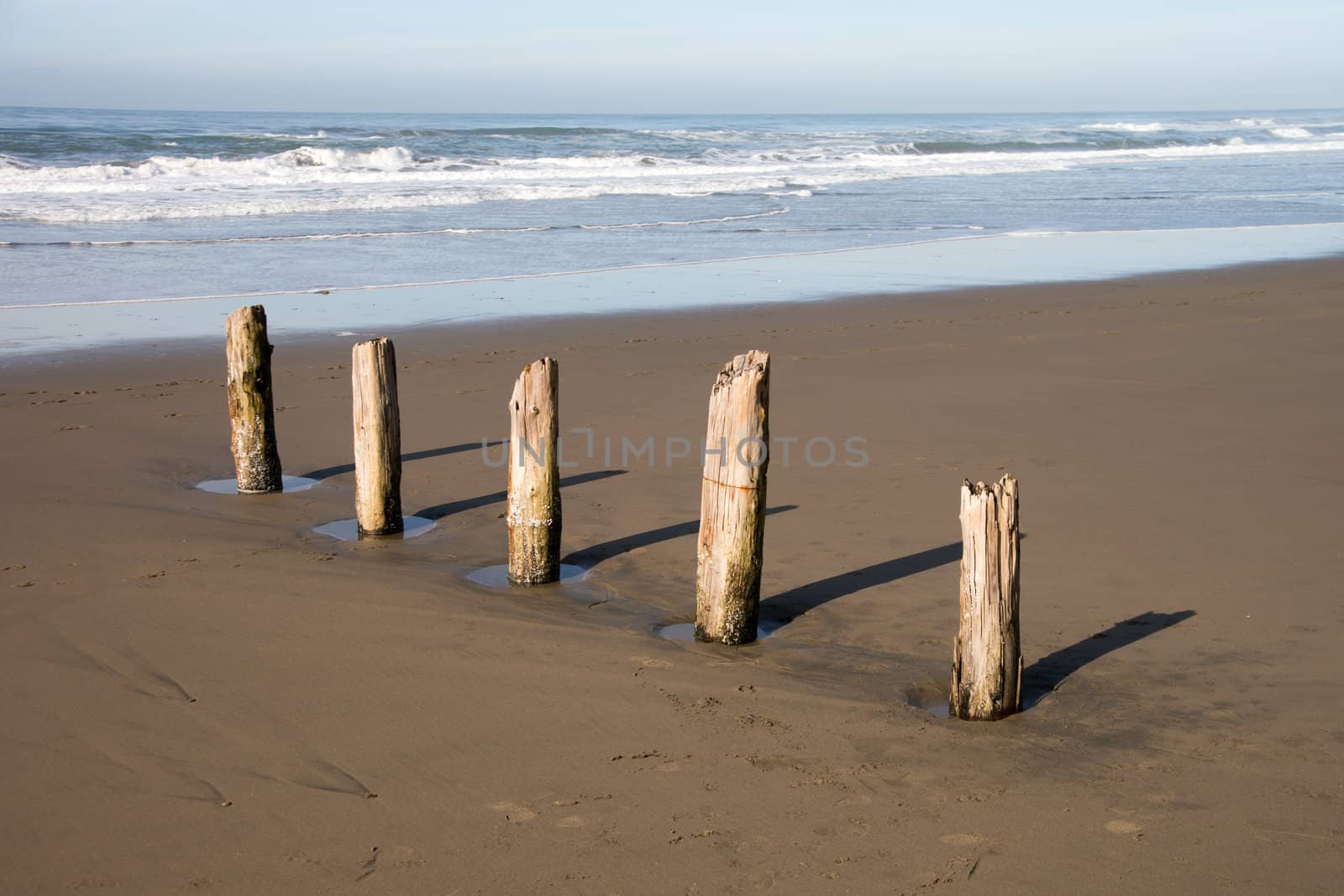 Wooden posts remnents of an old pier in Daly City, California