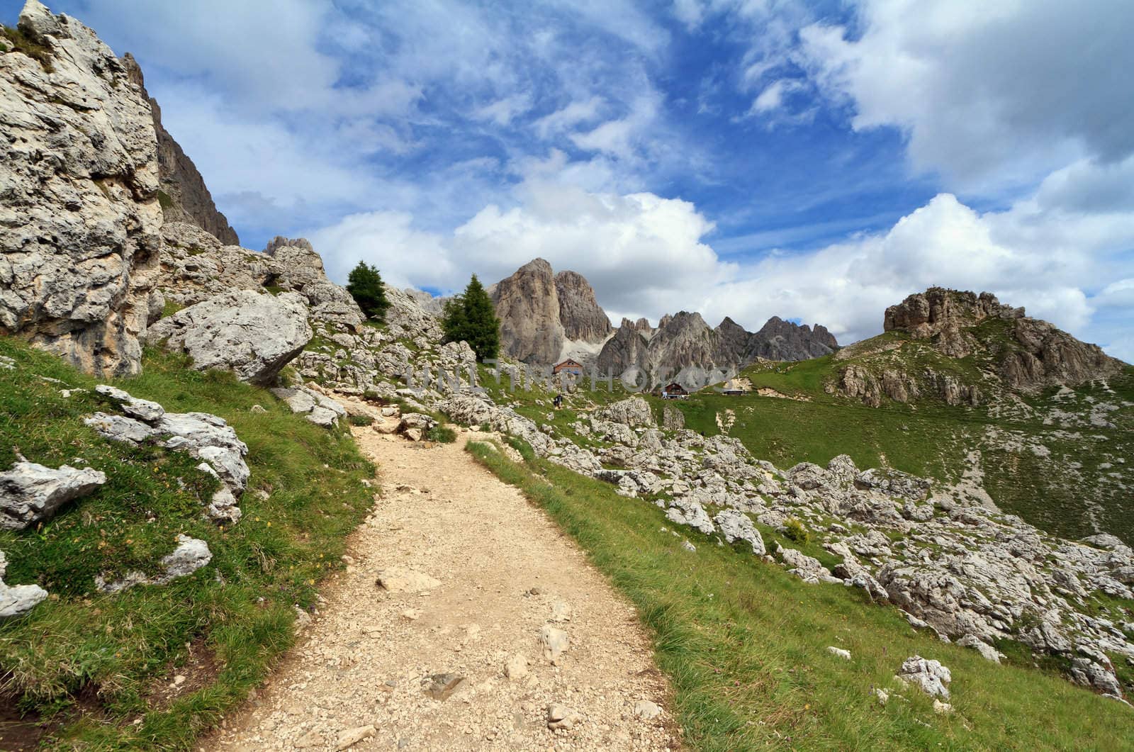 landscape of Catinaccio mountain on summer, Italian Dolomites 