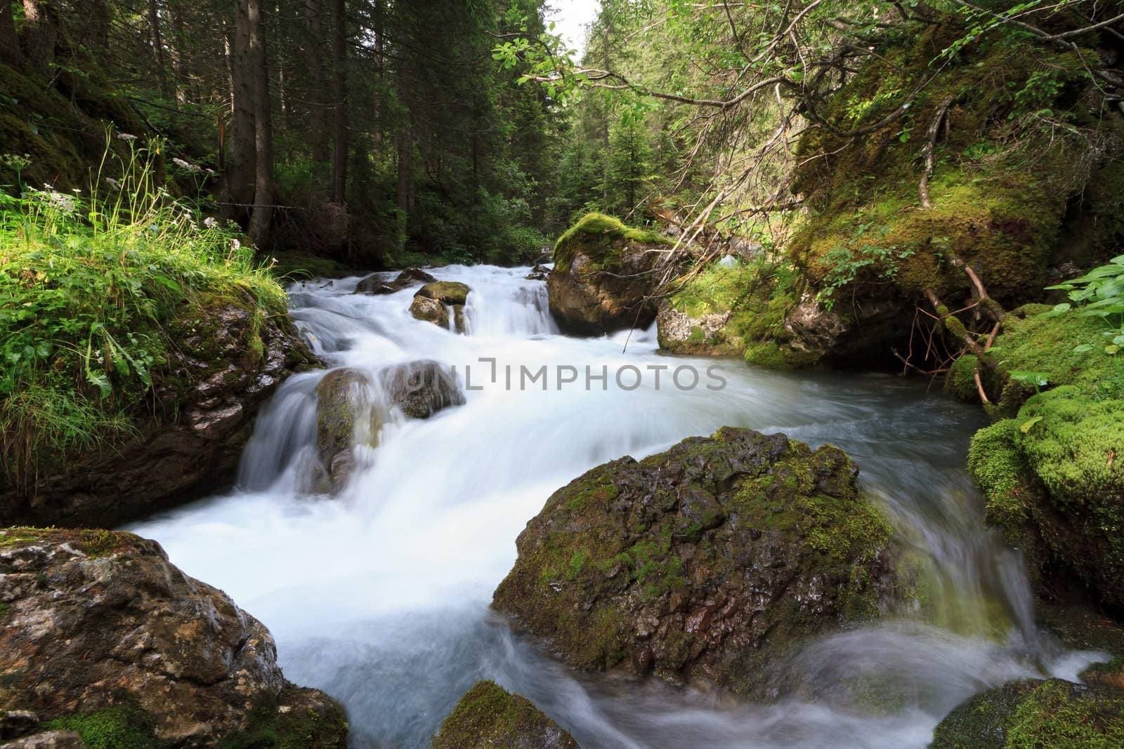 small stream with fresh water in Fassa Valley, Italy
