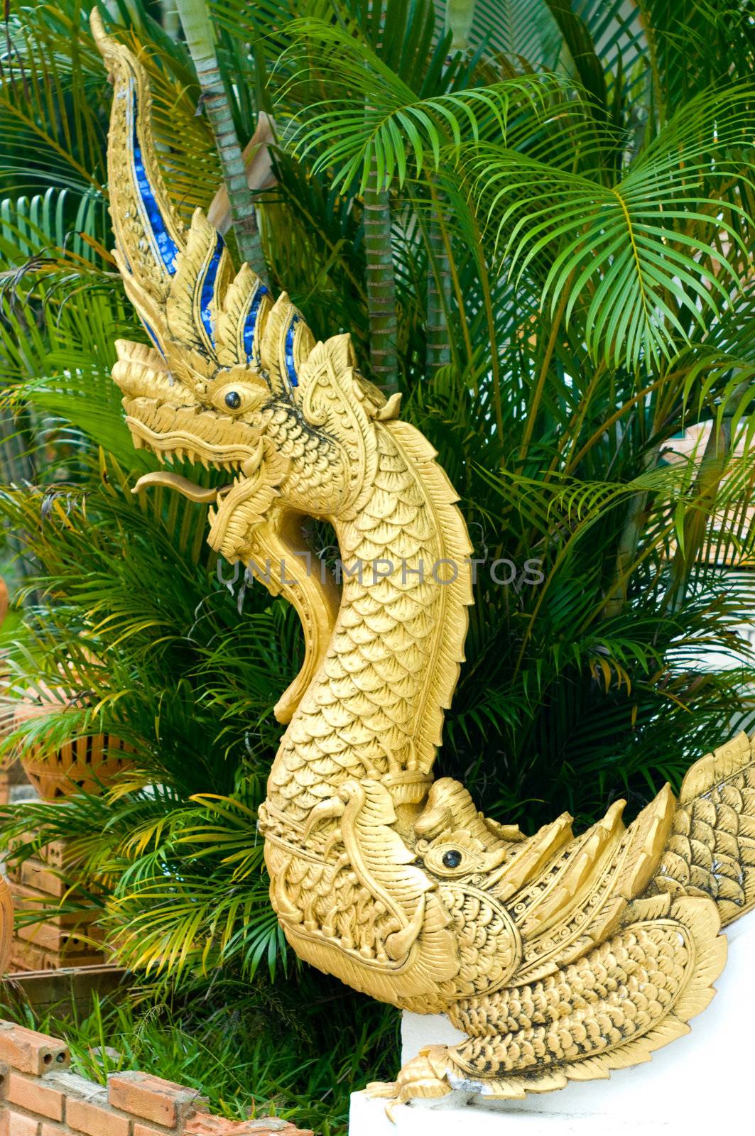 Dragon in the Mom's mouth, Chiang mai, Thailand