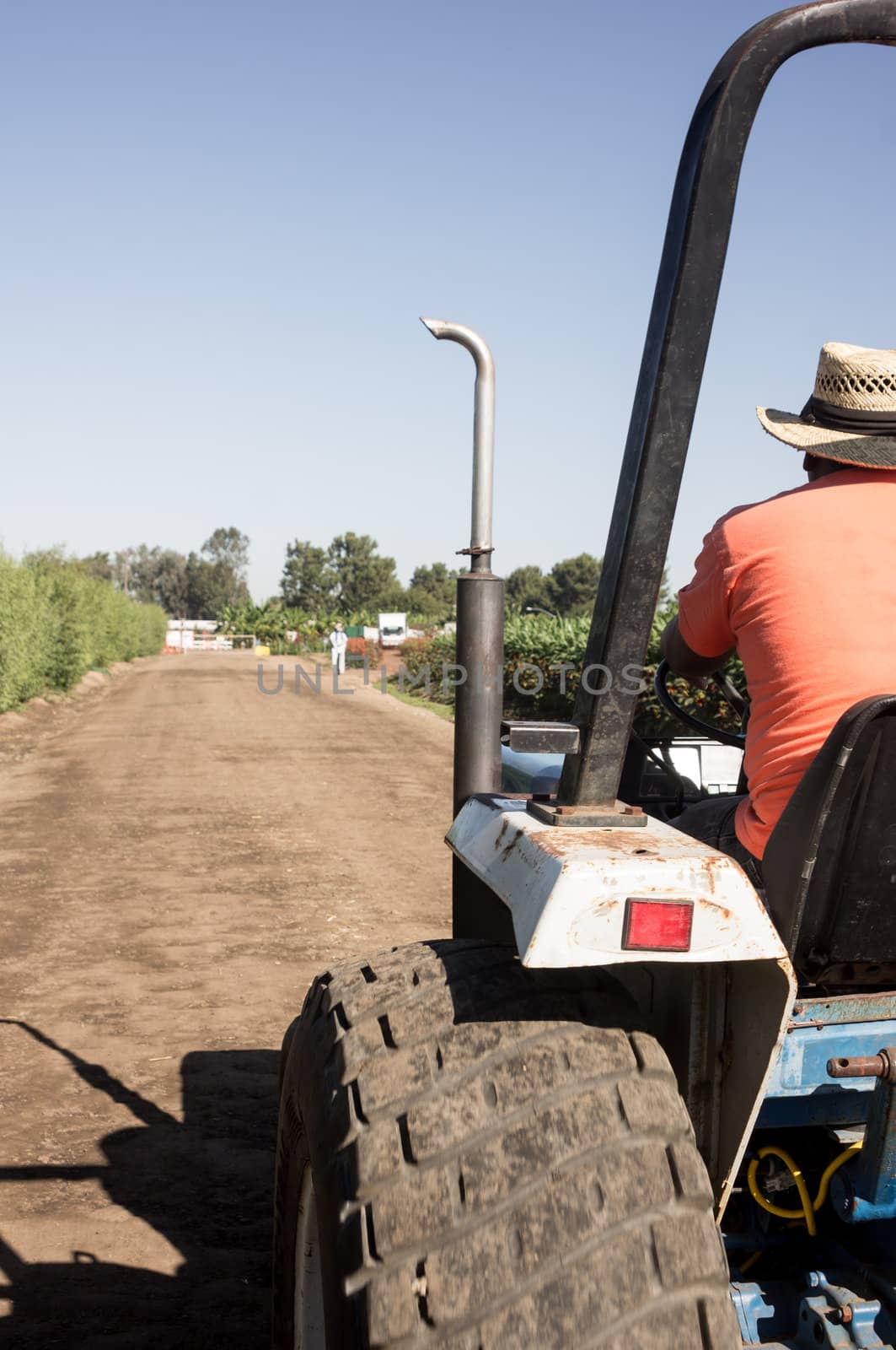 Farmer driving tractor on dirt road in farm.