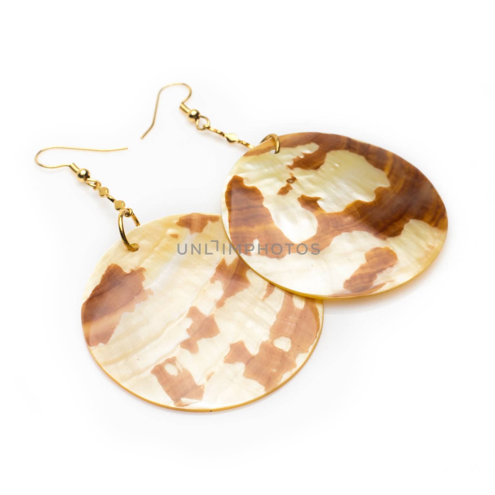 Tiger shell earrings. Isolated on white background with light shadow