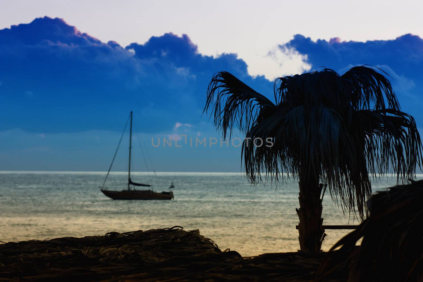 Palm tree, yacht and sea in tropical location