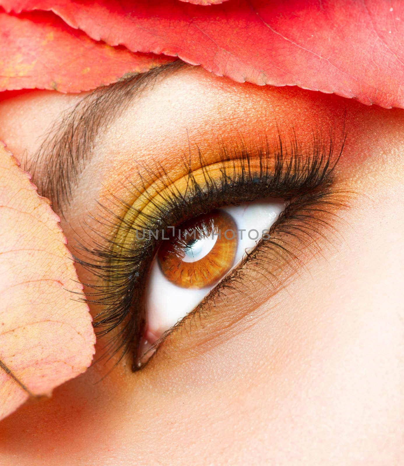 Autumn Makeup. Fall Make-up Closeup  by SubbotinaA