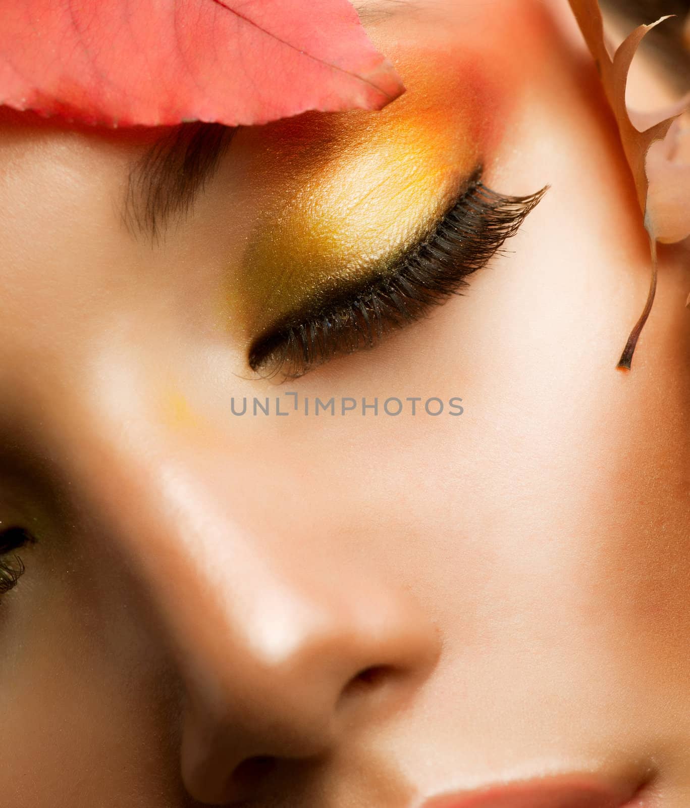 Autumn Makeup. Professional Fall Make-up Closeup  by SubbotinaA