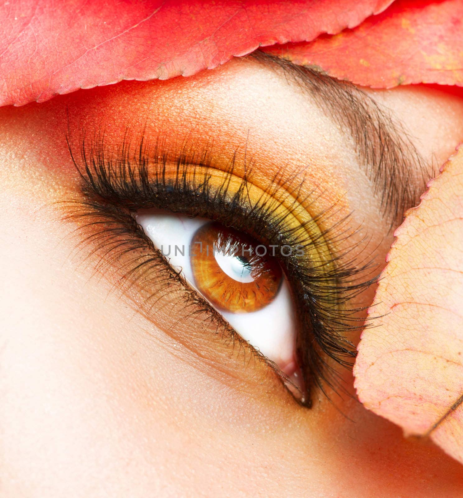 Autumn Makeup. Fall Make-up Closeup  by SubbotinaA