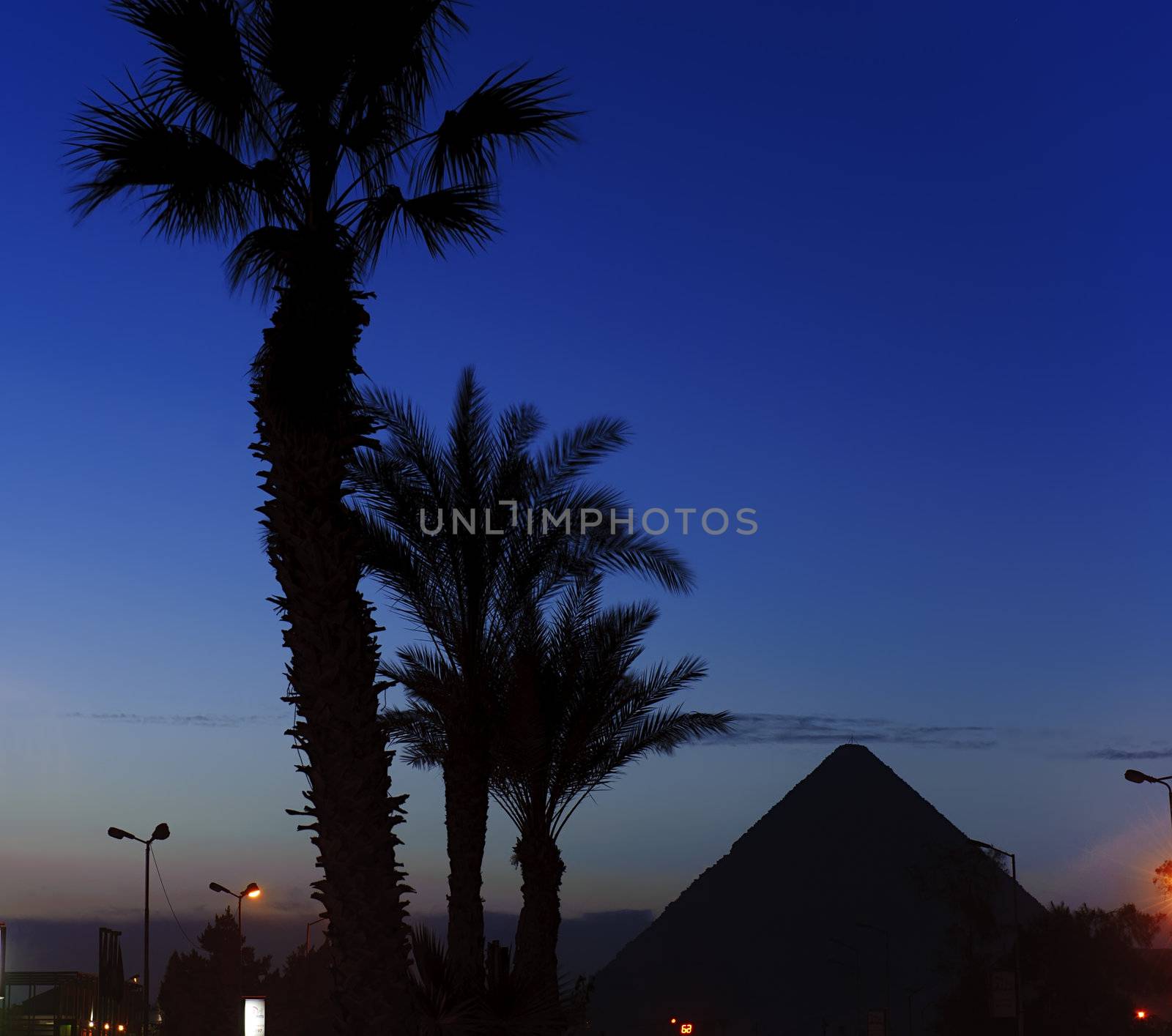 Pyramid of Giza in the morning