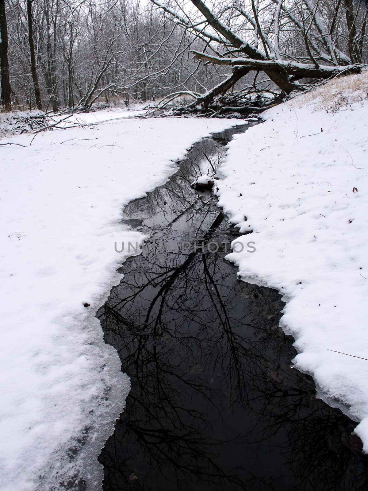 Stream runs through thick snowfall at Lib Conservation Area in northern Illinois.
