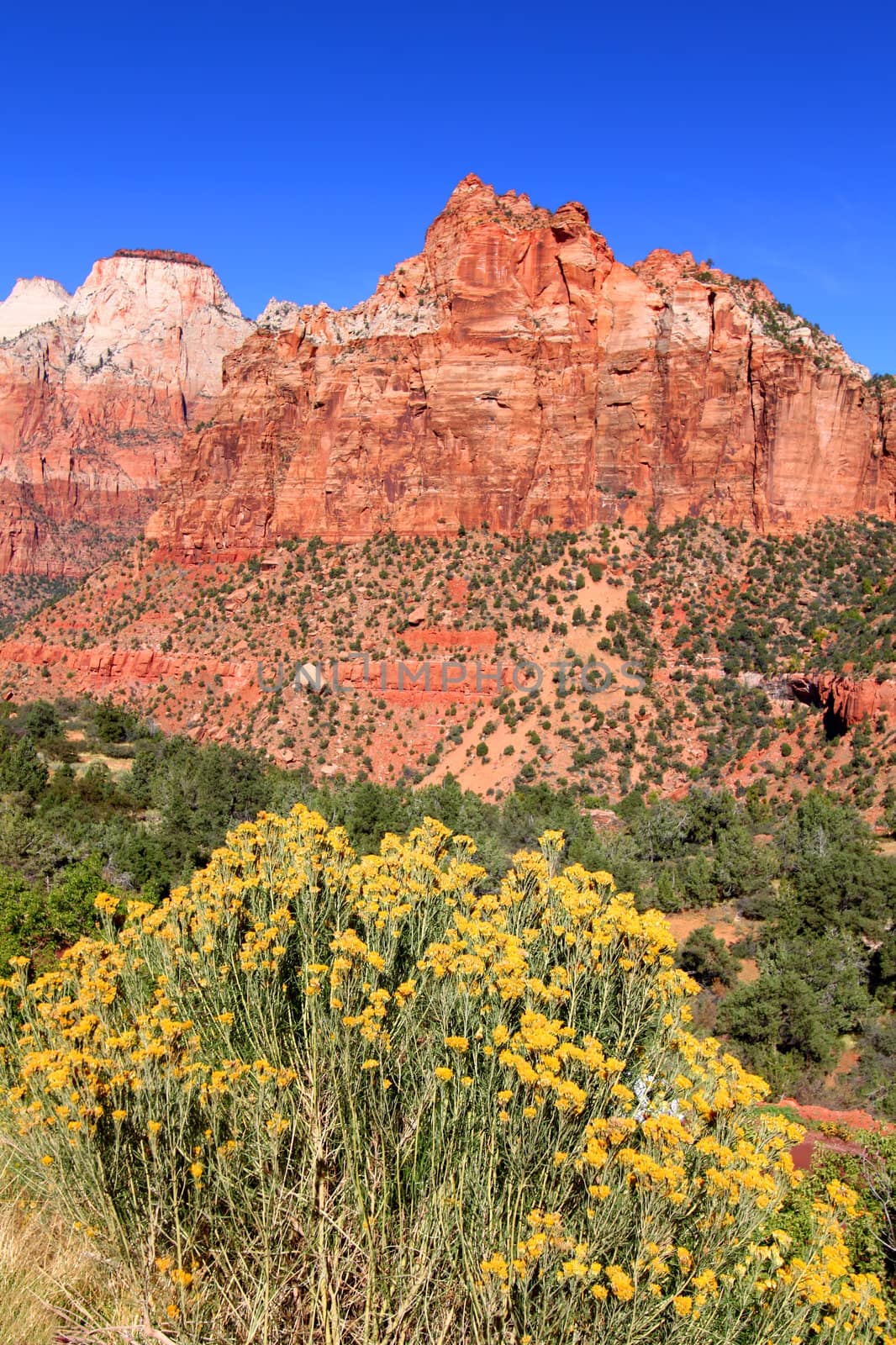 Zion National Park - USA by Wirepec